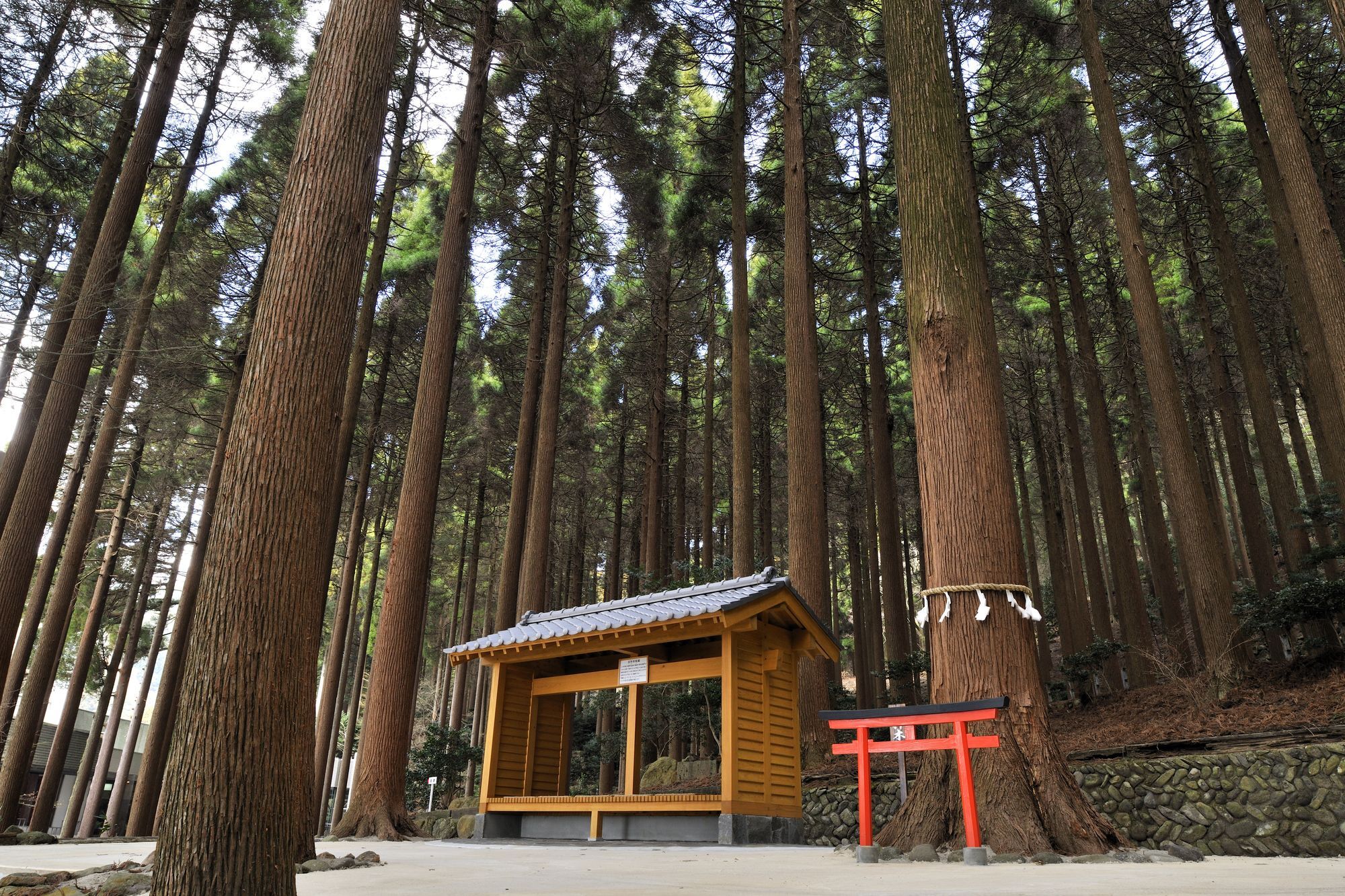 Kirishima Hotel Bagian luar foto